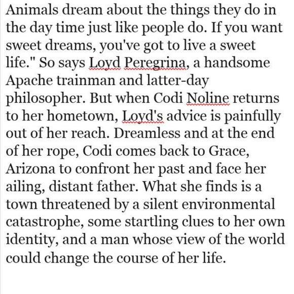 🔥4/$25🔥Animal dreams by Barbara Kinsolver fiction book - Picture 2 of 2
